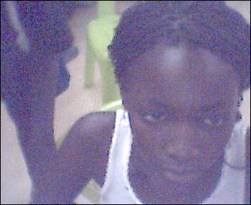 lamine